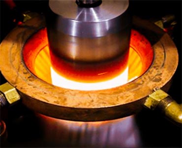 In our gardens plants for the shade garden